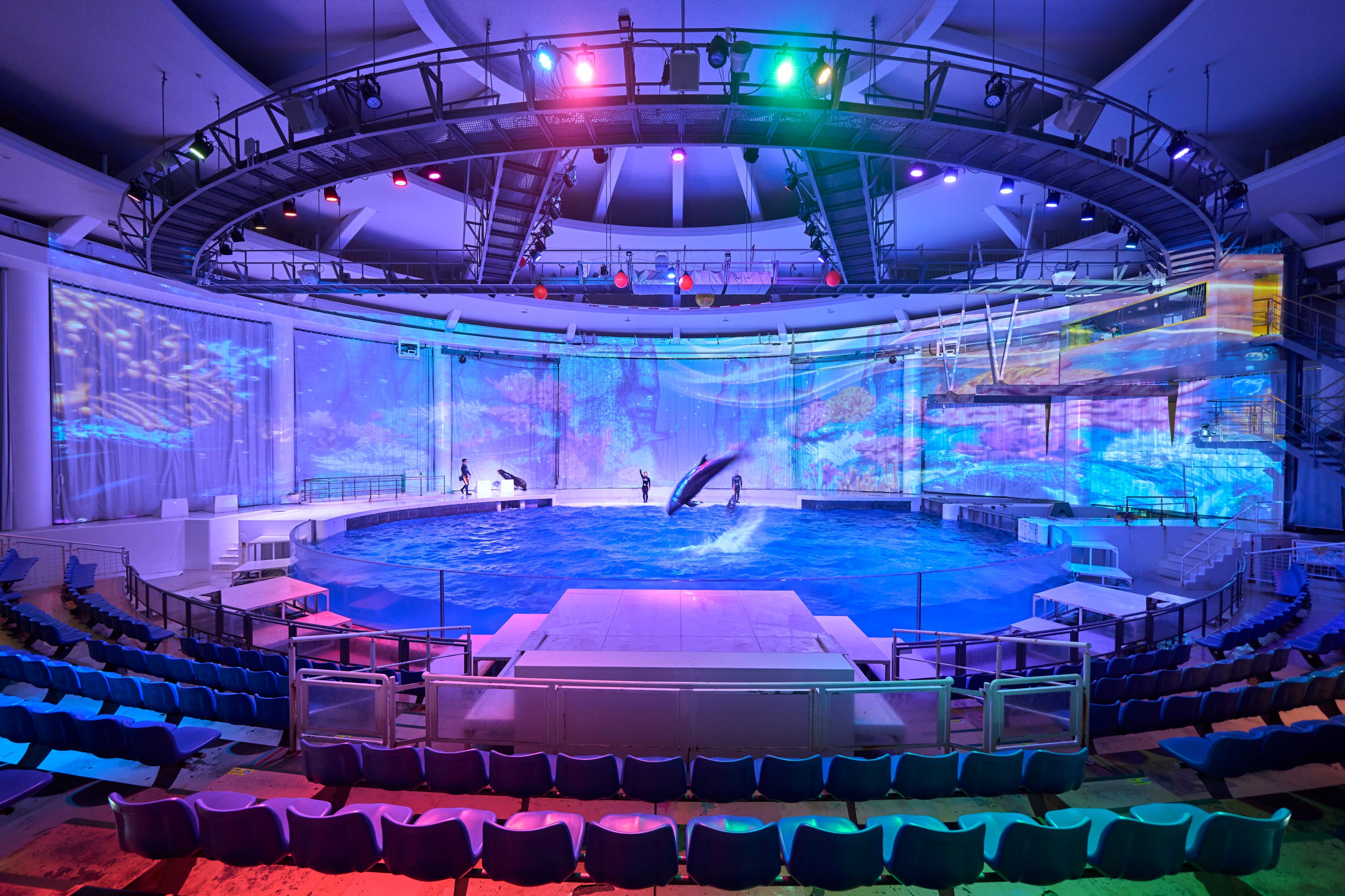 アクアワールド茨城県大洗水族館 イルカ・アシカオーシャンライブ